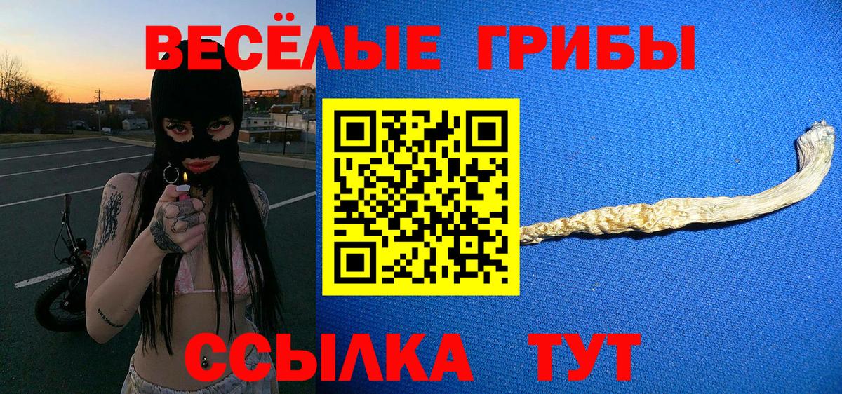 Галлюциногенные грибы прущие грибы Кингисепп